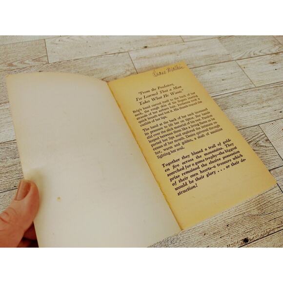 Vtg 1980 - Ride the Thunder - Janet Dailey - Romance Paperback - Picture 8 of 11